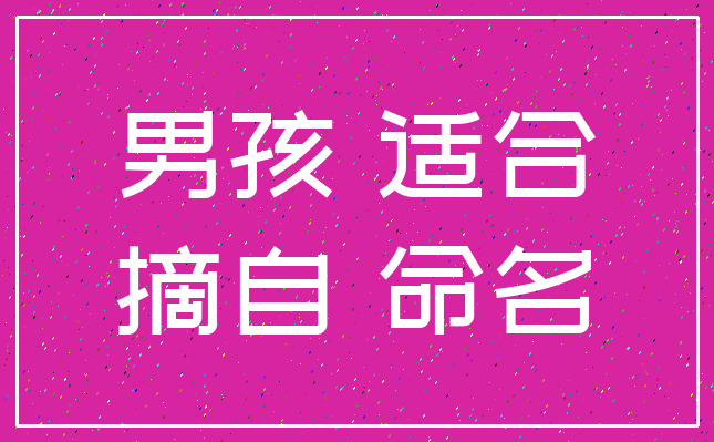 男孩2004年5月16日20点45分,出生地点:新疆乌鲁木齐 现起名:王泽智